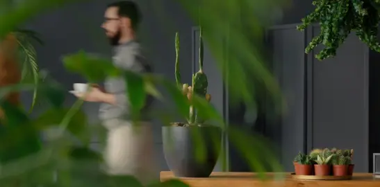 Man in a very green, foliage-laden office